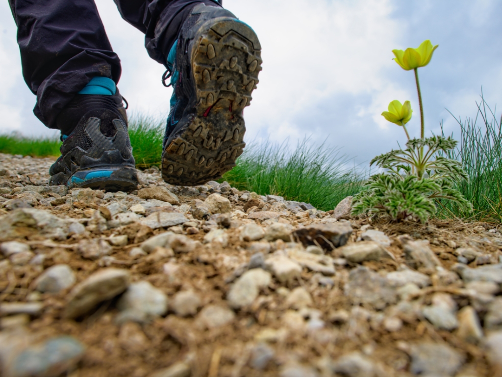 trail with stones along the way 