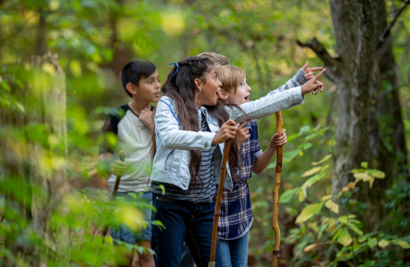 The Value of Awe and How to Harness It in PBL | PBLWorks