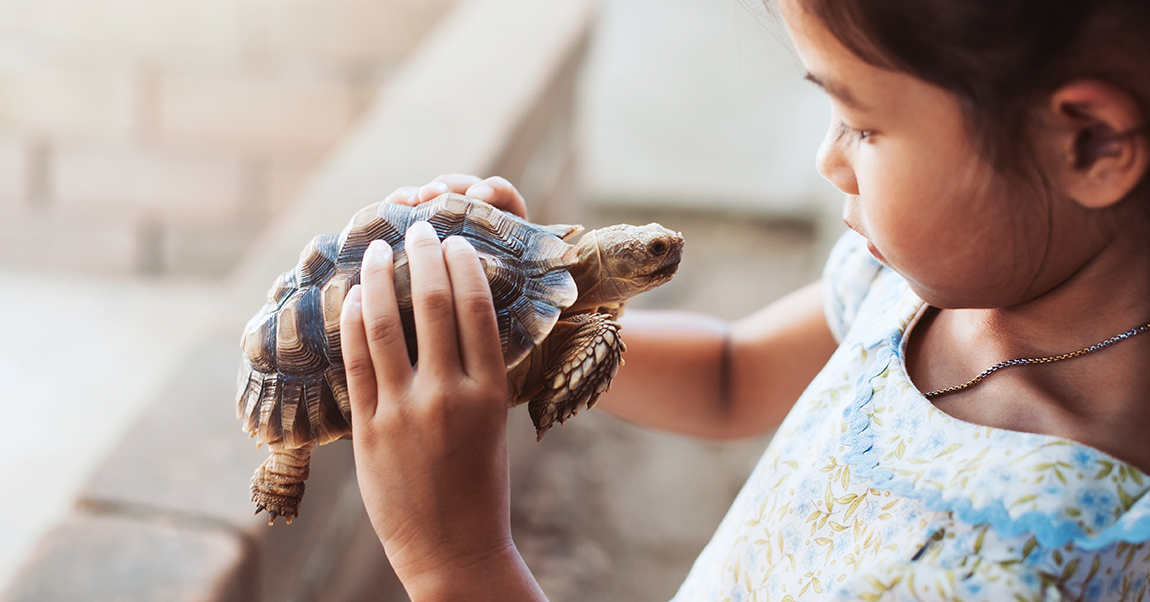 young student with a turtle