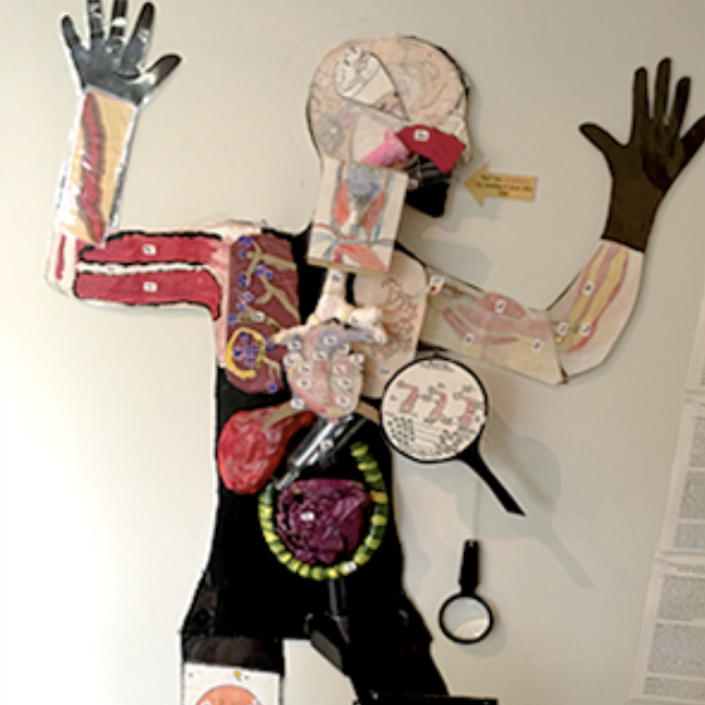 A Science Unit that Taught Me the Ins and Outs of PBL