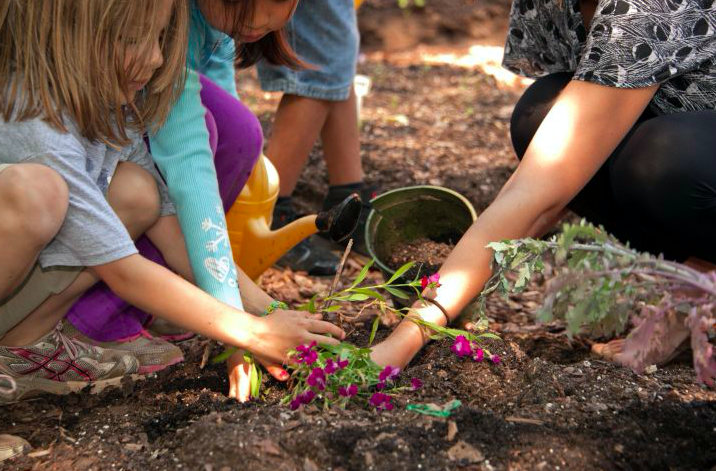 Gardening