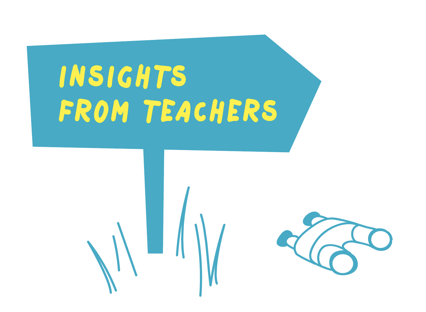 Insights from teachers