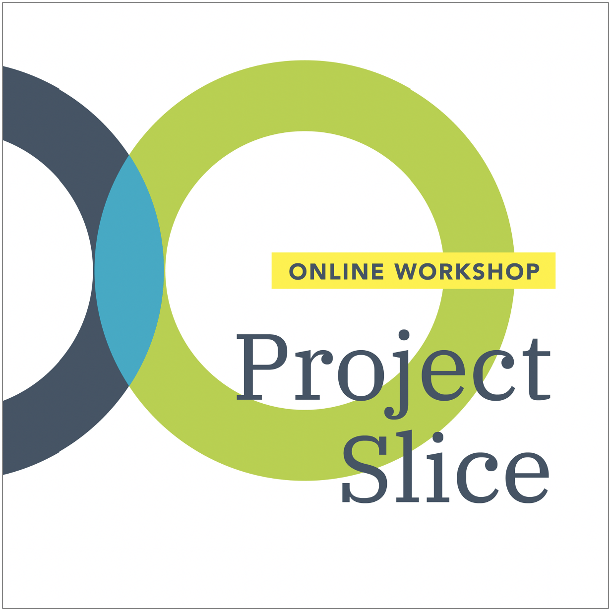 Project Slice