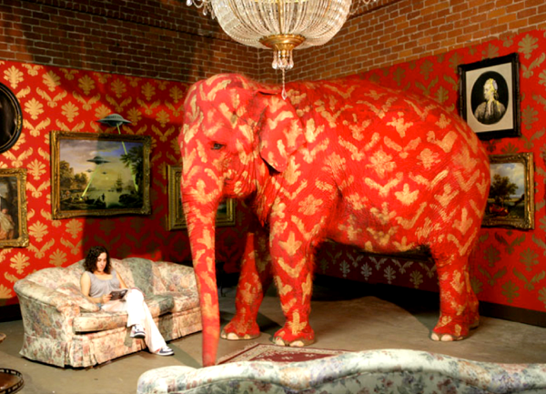 elephant in a living room