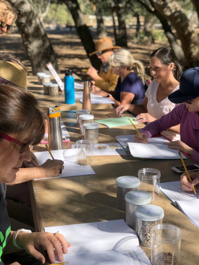 adults working on a PBL project at picnic table with notes and samples in a glass jar