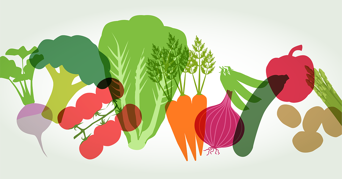 illustration of vegetables 