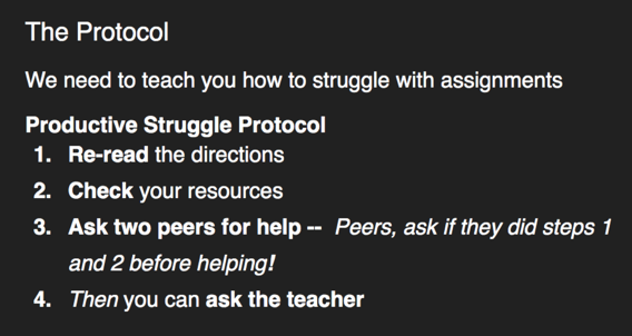 steps in a protocol for productive Struggles