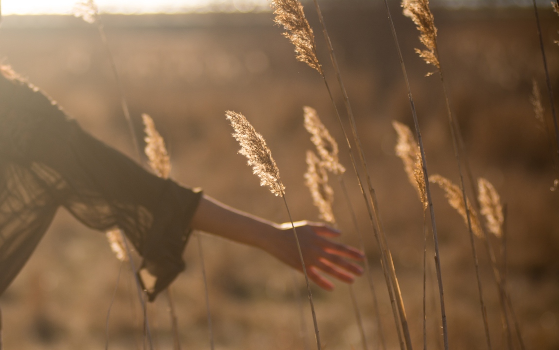 Person walking through an empty field