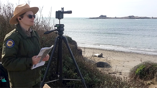 ranger observing the shoreline