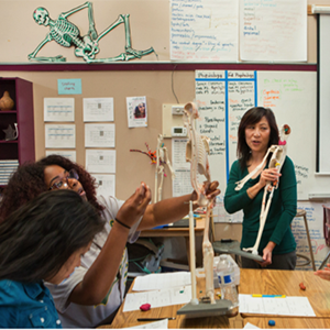 Students in a classroom with teacher looking at skeletons 