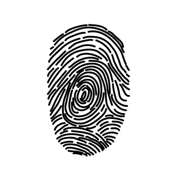 Fingerprint illustration