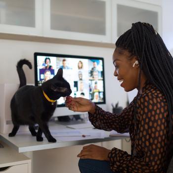 Open Online Workshops - PBLWorks