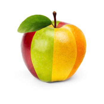 An apple made up of many different slices of apple, oranges, pears