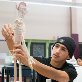 Students working on model human skeleton
