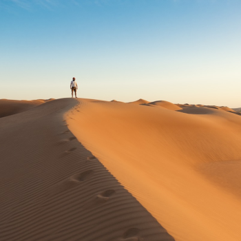 one person standing in the desert