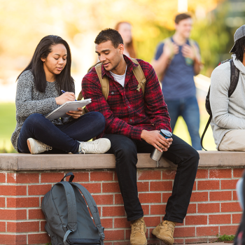 students studying outside