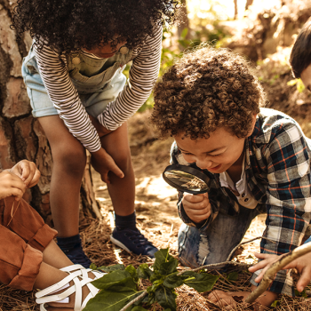 children in nature working on a PBL project