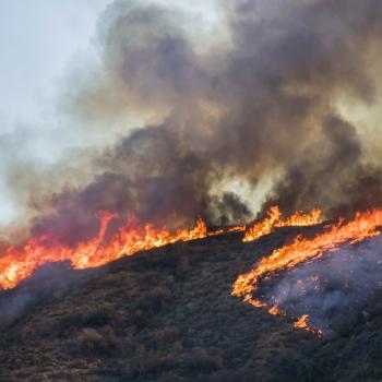 wildfire on a hillside