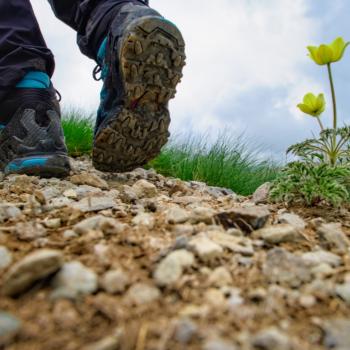 Hiking & Stumbling Stones