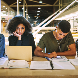 PBL students studying in the library 