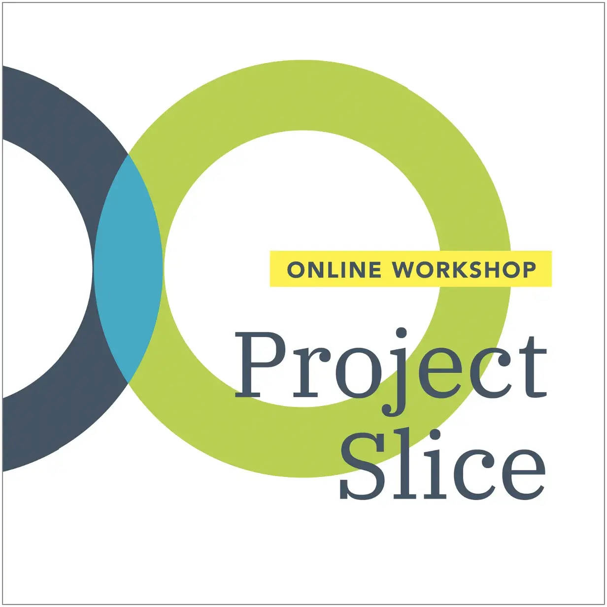 Project Slice graphic
